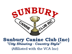 Sunbury Canine Club - City Showing Country Style