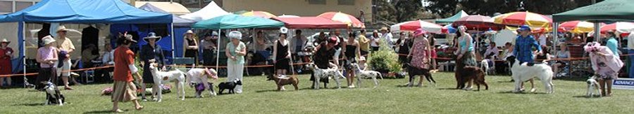 Visit Sunbury All Breeds Dog Show every November